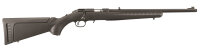 Ruger American Rimfire .22 lfB.