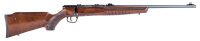 Savage B22 G .22 LR 21"/54CM
