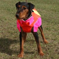Out Dog Hundeschutzweste Standard  Brustumfang 70 cm – Rüde