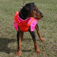 Out Dog Hundeschutzweste Standard  Brustumfang 75 cm – Rüde